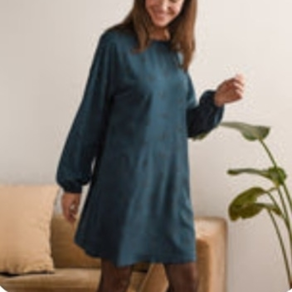 Chic Long Sleeve Teal Dress
